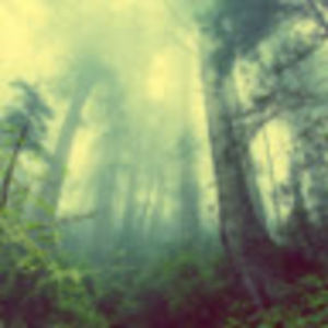 Meet your Posher, Andi